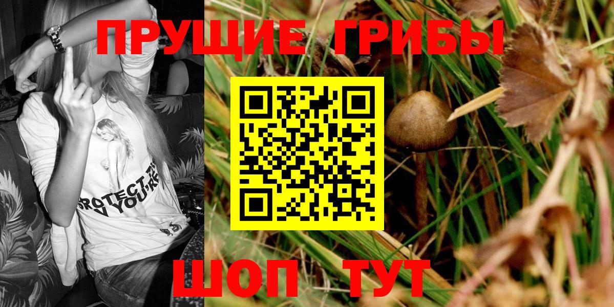 Галлюциногенные грибы Magic Shrooms Томск
