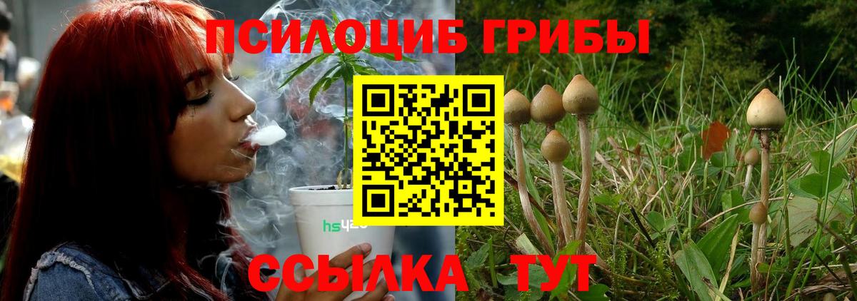 Томск  купить   Вход с VPN  Псилоцибиновые грибы прущие грибы 